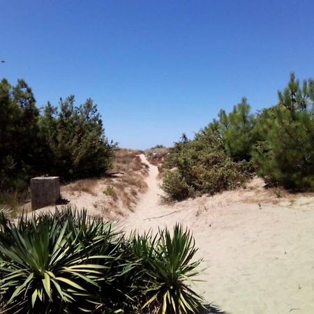 Casa Nel Parco Sulla Spiaggia ปิซา ภายนอก รูปภาพ