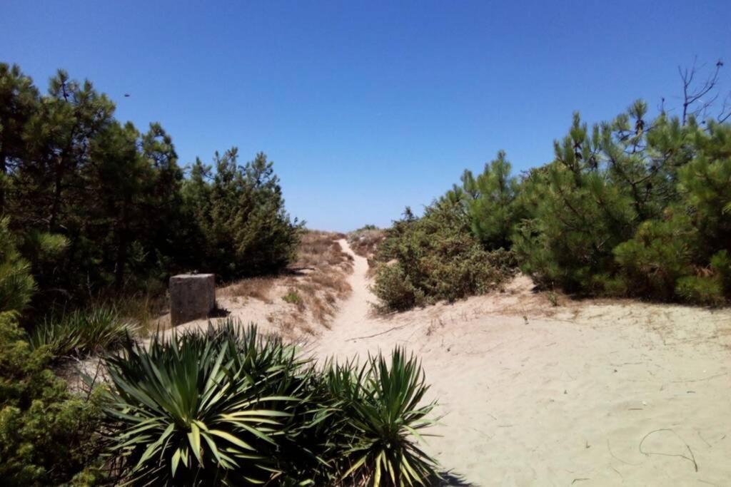 Casa Nel Parco Sulla Spiaggia ปิซา ภายนอก รูปภาพ