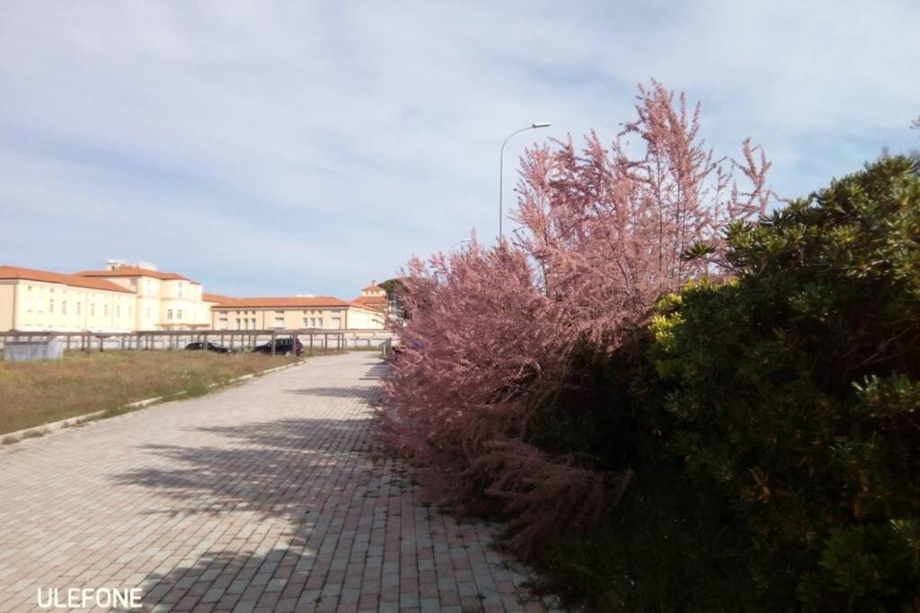 Casa Nel Parco Sulla Spiaggia ปิซา ภายนอก รูปภาพ