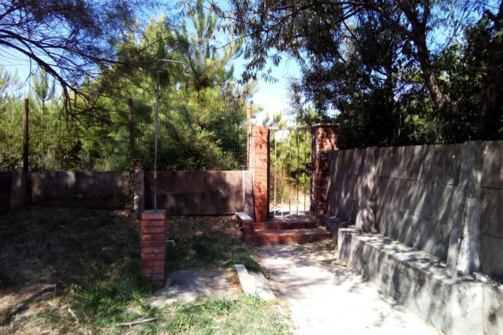 Casa Nel Parco Sulla Spiaggia ปิซา ภายนอก รูปภาพ